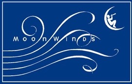 orquesta-camera-musicae