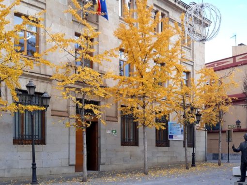 Certamen Ibérico de Piano de la Diputación de Badajoz