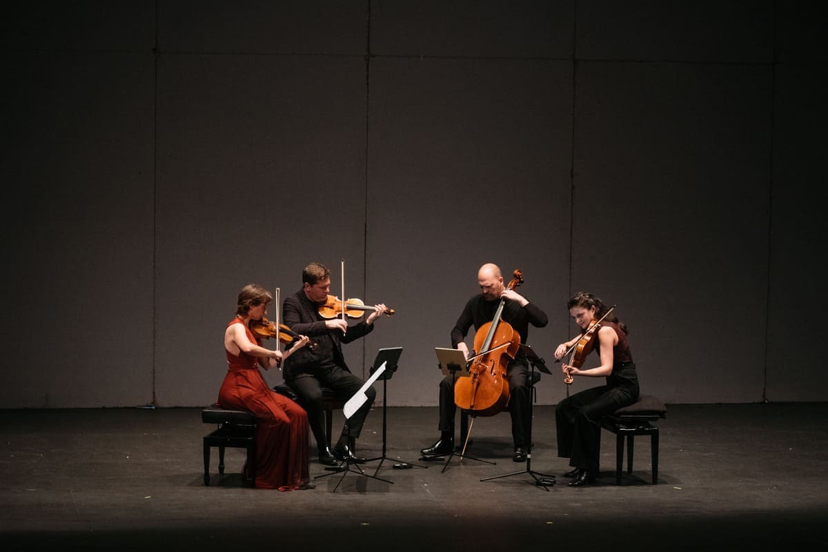 Copyright. Ángel Luis Juste / Kiwo estudio